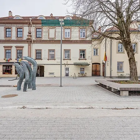 Cohost I Bright W-balcony I Self Check In I Next To Mo Museum Вільнюс