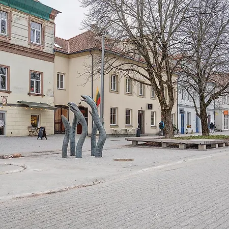 Cohost I Bright W-balcony I Self Check In I Next To Mo Museum * Vilnius