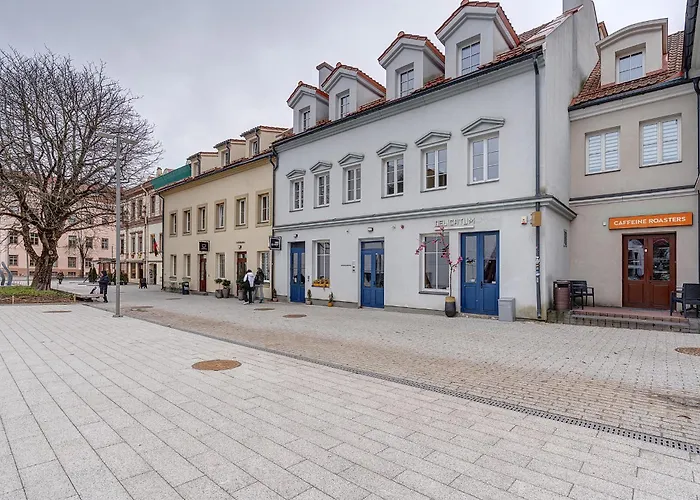 Cohost I Bright W-balcony I Self Check In I Next To Mo Museum *