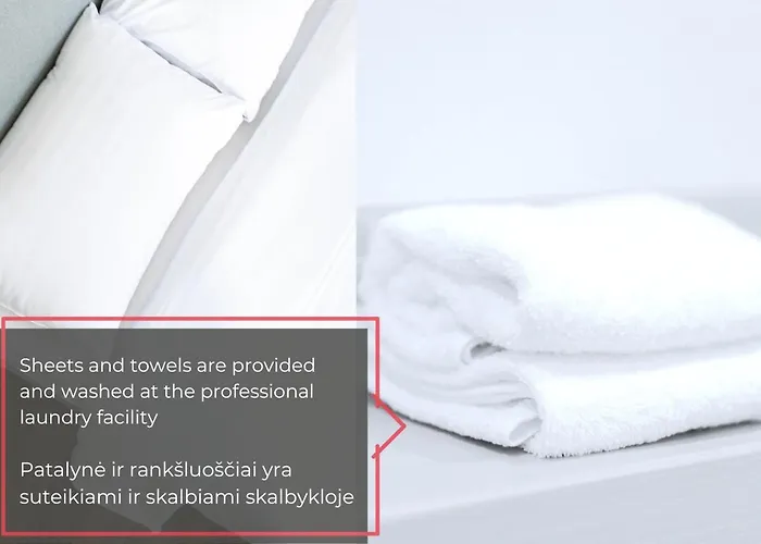 Cohost I Bright W-balcony I Self Check In I Next To Mo Museum *